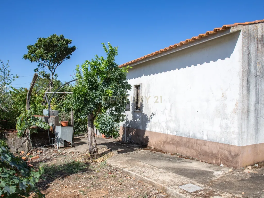 Duas moradias em Avecasta Ferreira do Zêzere - Image 19