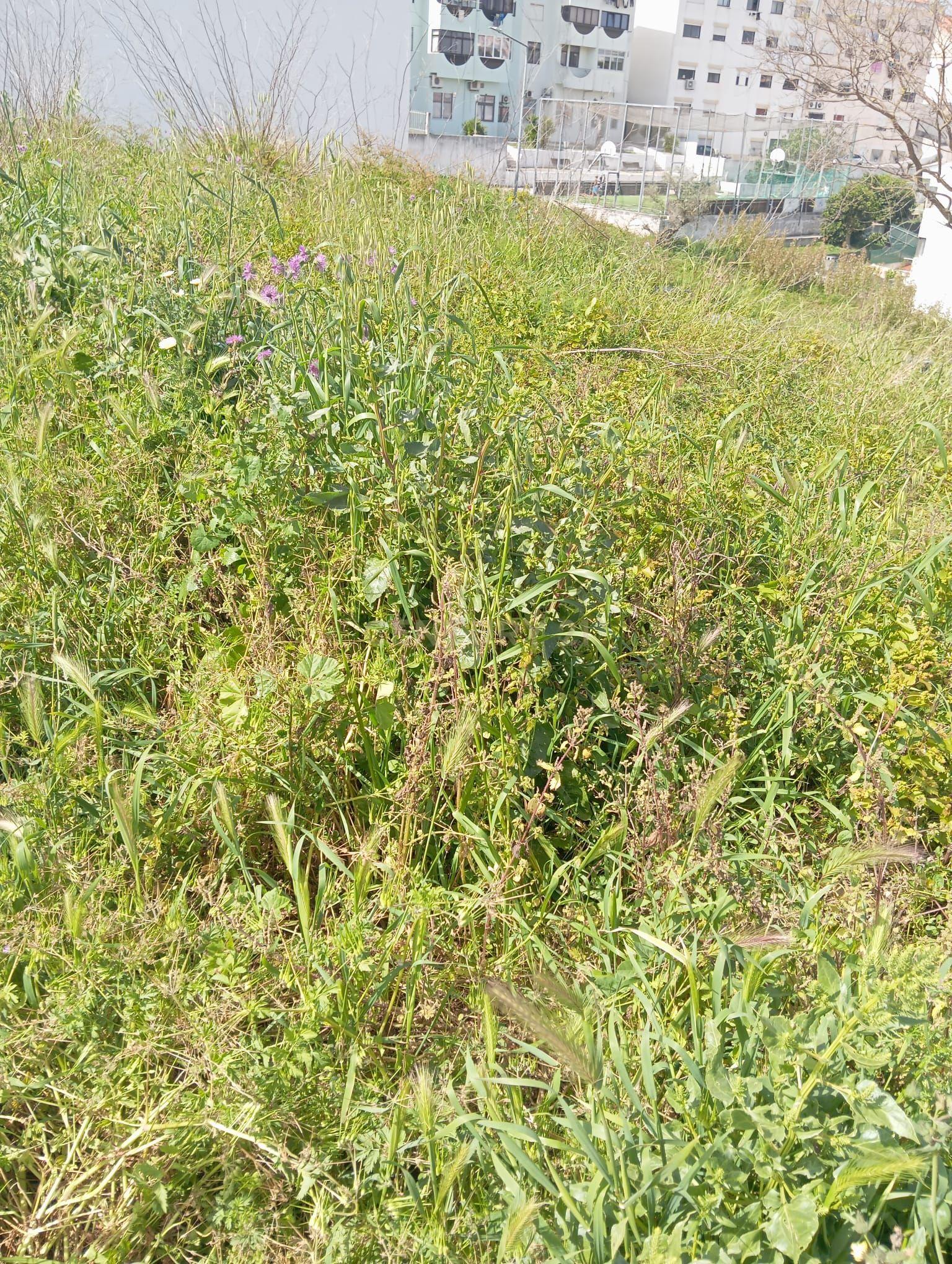 Fotografia 4 de Lote de Terreno para Construção em Sesimbra
