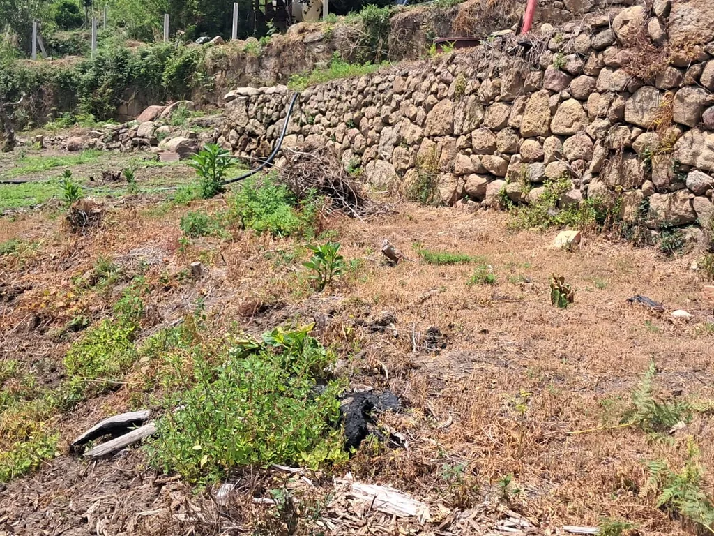 Oportunidade Única: Moradia para reconstrução em Penha Longa, Marco de Canaveses - Image 7