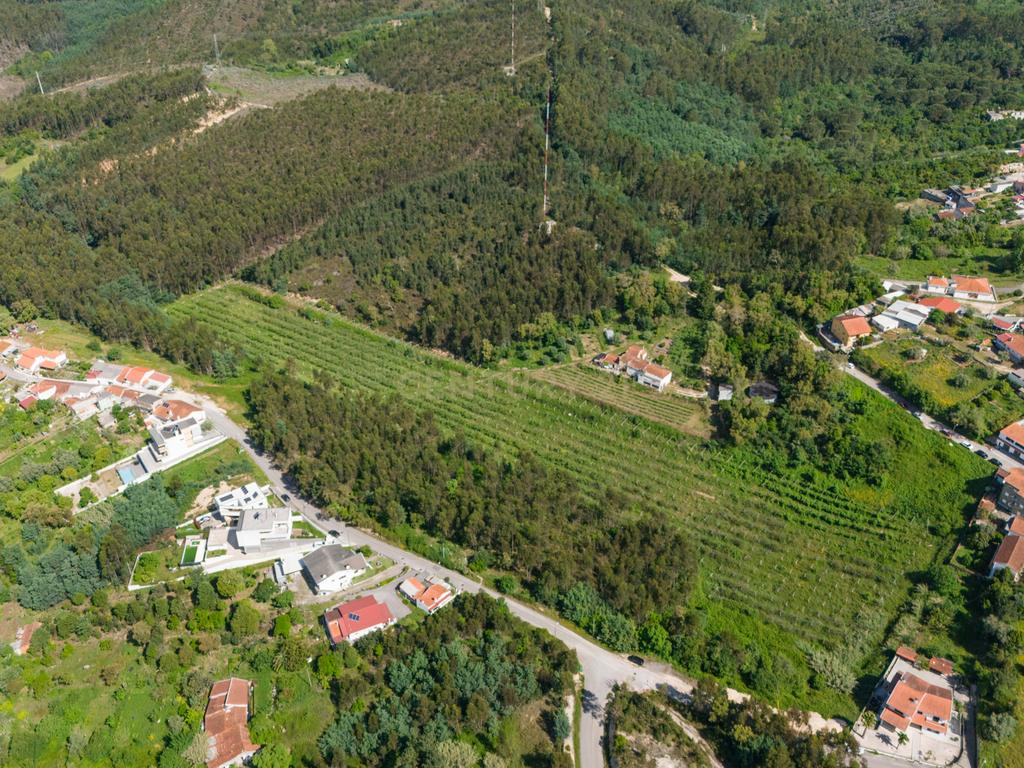 Quinta com 8 hectares com potencial para construção – Antanhol - Coimbra - Image 14
