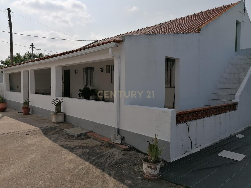 Moradia Térrea T3 com quintal e sótão, Guadalupe, Évora - Image 4