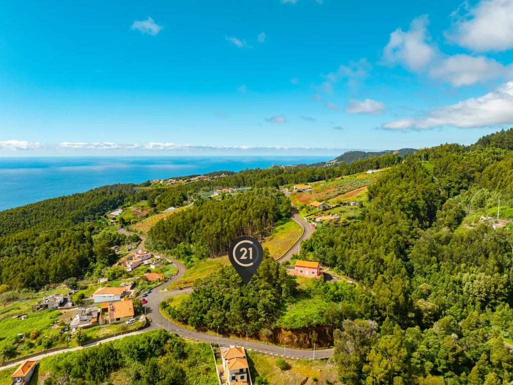 Terreno com Potencial em Zona Verde e Tranquila de Gaula - Image 8