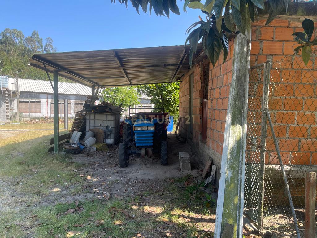 Terreno de 7.500 m² situado próximo ao lago, contendo uma casa a ser restaurada e um aviário automatizado altamente rentável. - Image 35