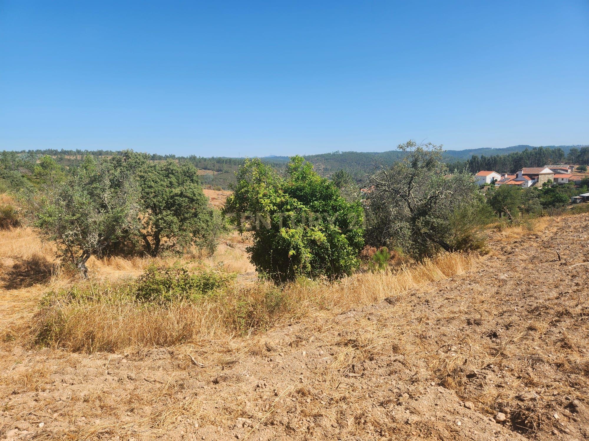 Fotografia 8 de Terreno com Vistas Panorâmicas e Dois Poços em Tostão- Vila Velha de Ródão