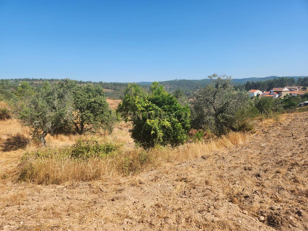 Terreno com Vistas Panorâmicas e Dois Poços em Tostão- Vila Velha de Ródão - Image 8