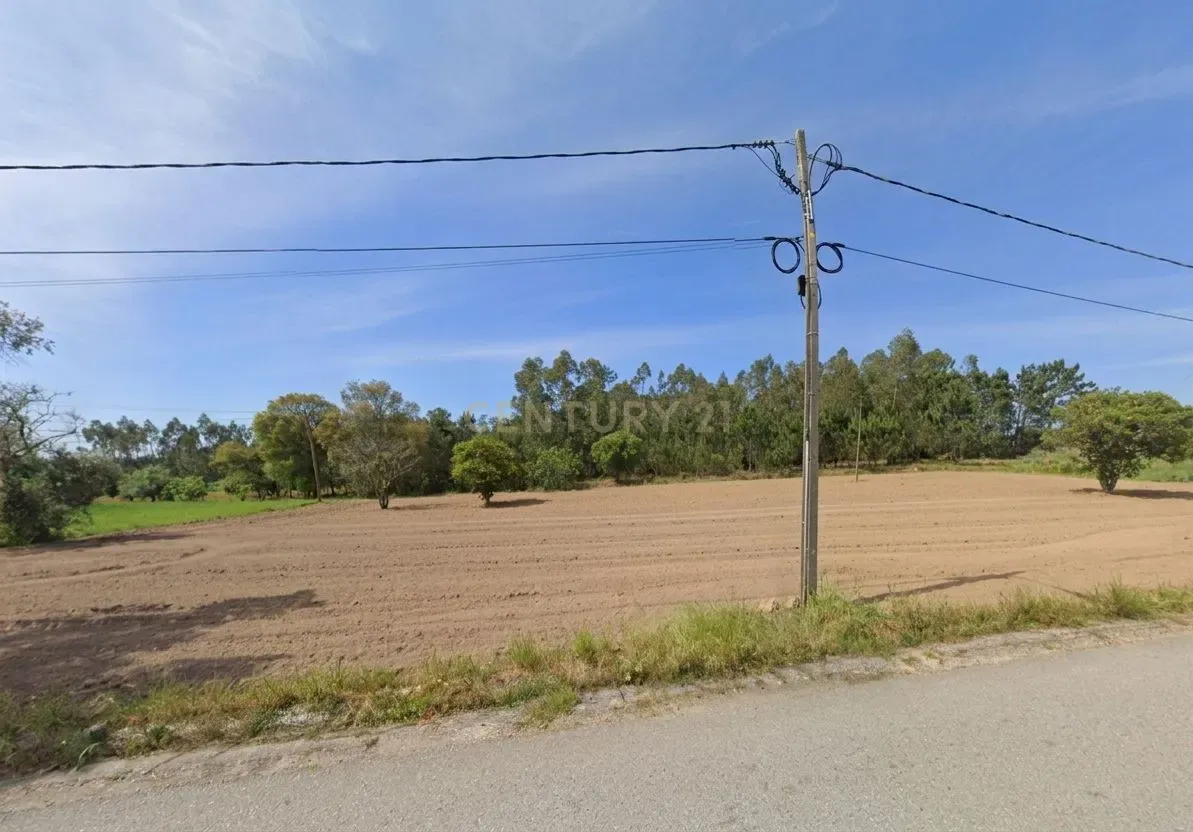 Fotografia 9 de Terreno Rústico com 2.040 m² em Paião – Figueira da Foz