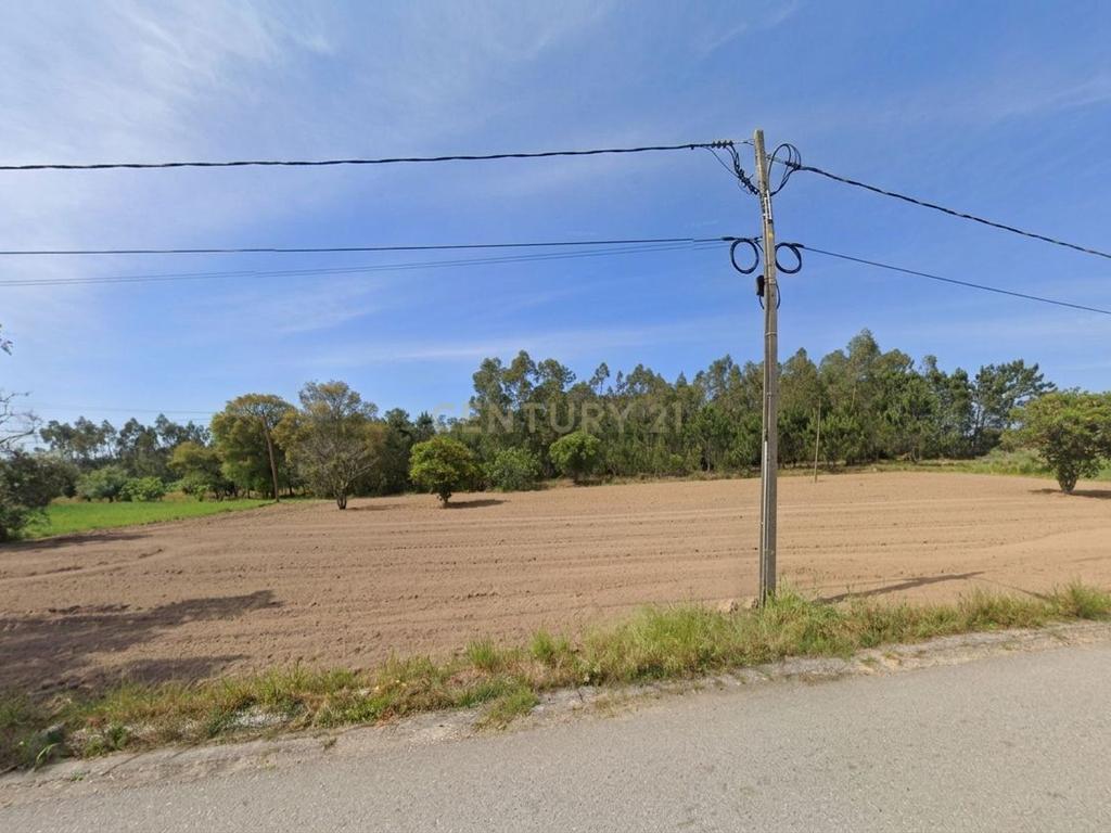 Terreno Rústico com 2.040 m² em Paião – Figueira da Foz - Image 9