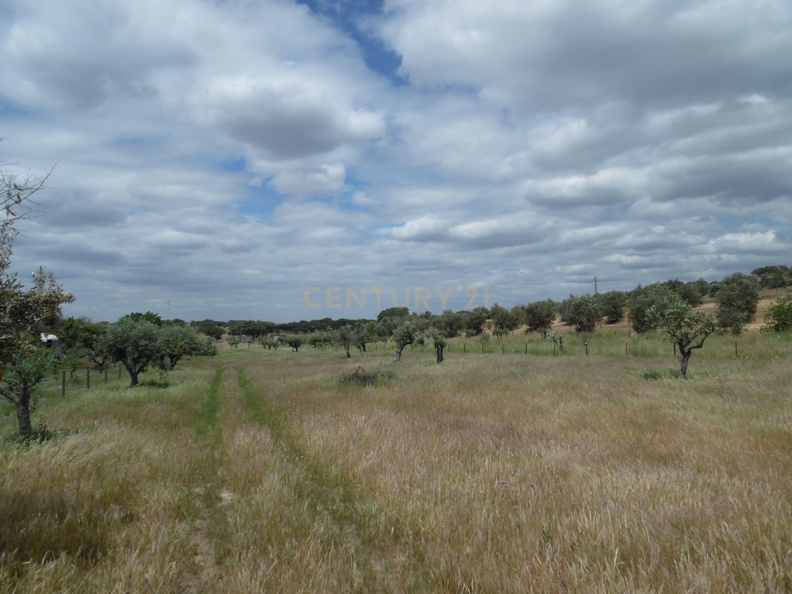 Moradia T3 à venda em Capelins (Santo António), Alandroal — foto 28
