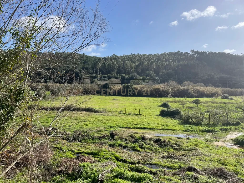 Moradia antiga em Aldeinha, Rio de Moinhos - Image 12