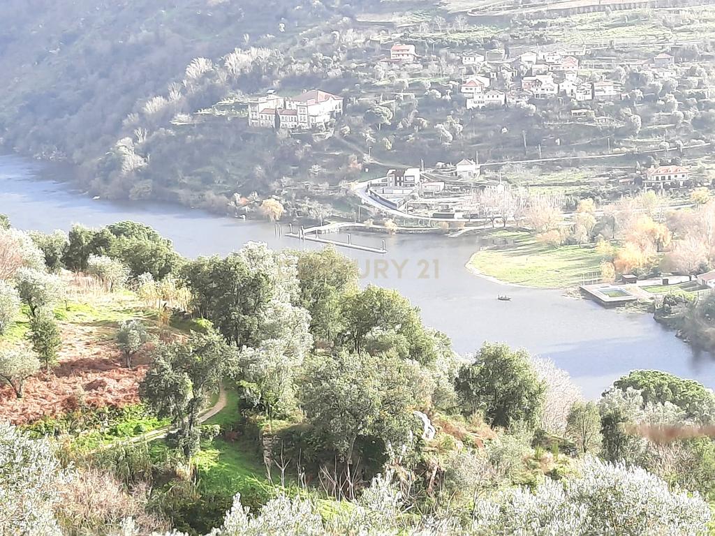 Moradia em ruina repleta de belas histórias, para reconstruir, no coração do Douro em Frende, Baião - Image 3