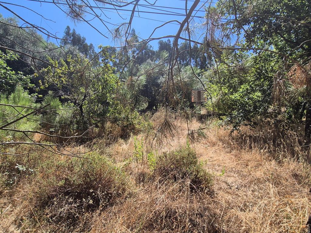 Terreno para Construção em Pombal, Leiria - Oportunidade Única! - Image 13