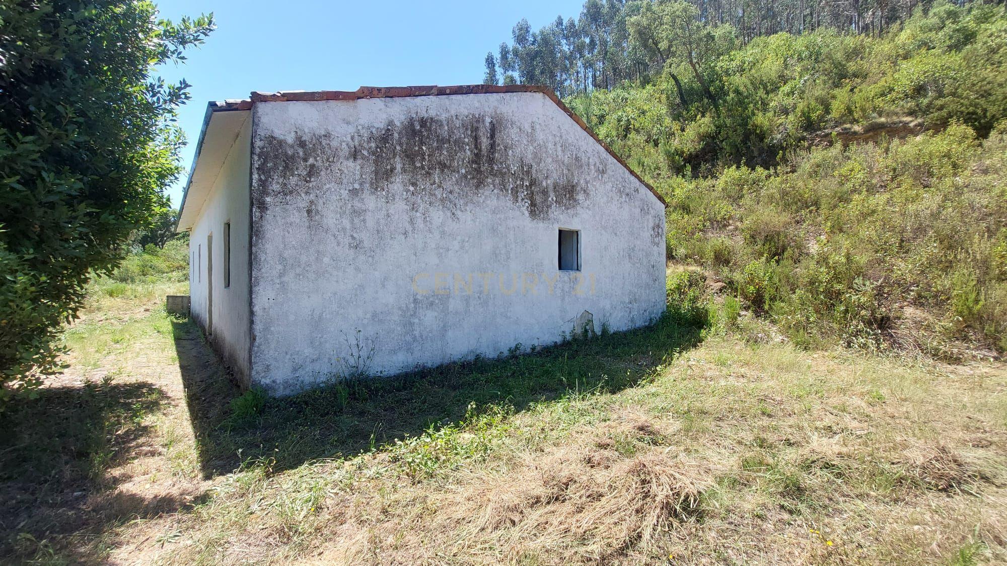 Fotografia 10 de Casa de Campo | Terreno | Alferce | Monchique