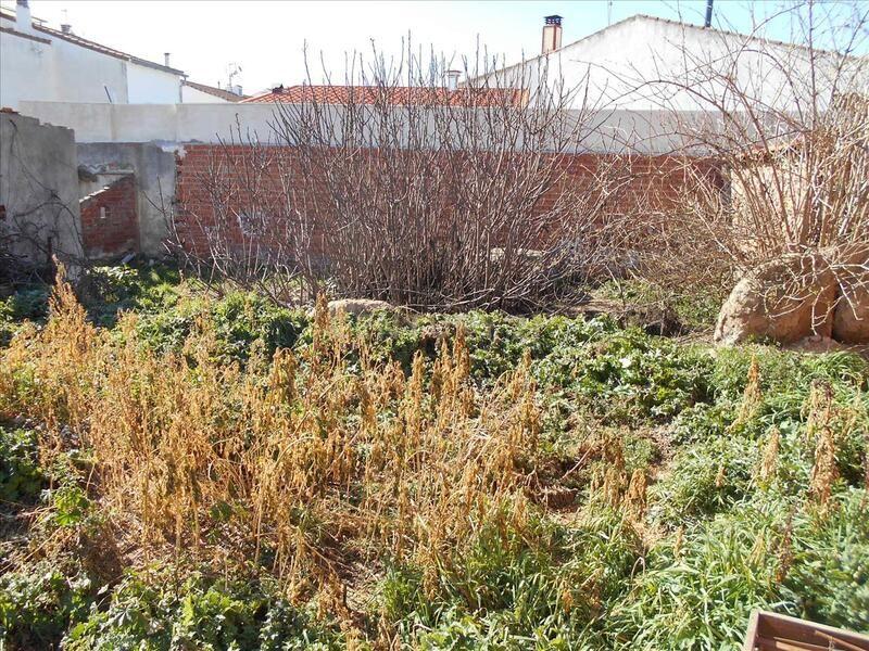 Terreno - Image 7