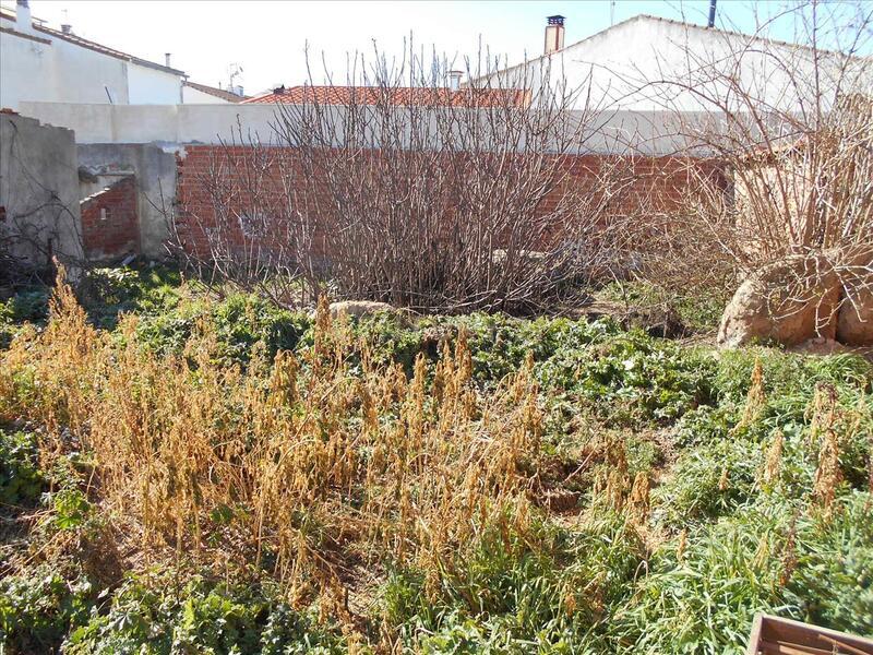 Terreno - Image 7