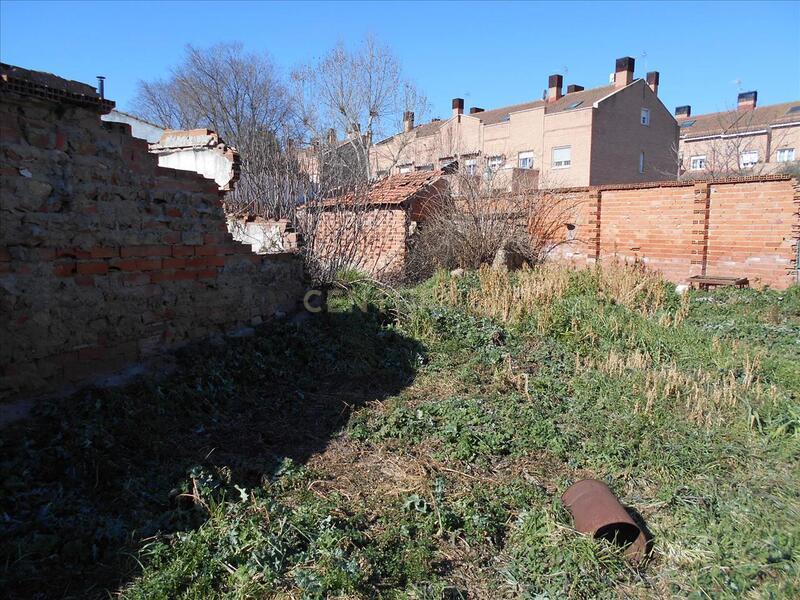 Terreno - Image 10