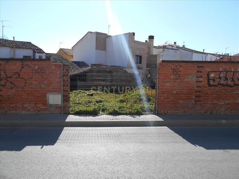 Terreno - Image 4