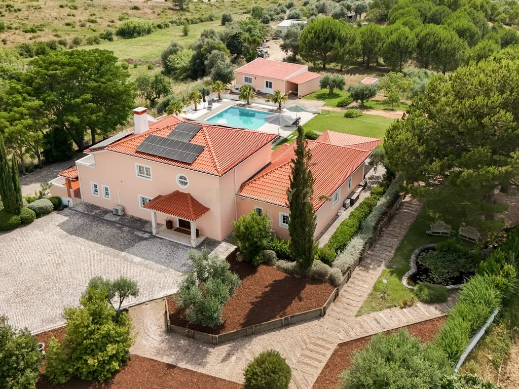 Propriedade Única com Piscina, Lago e Produção de Azeite - Image 4