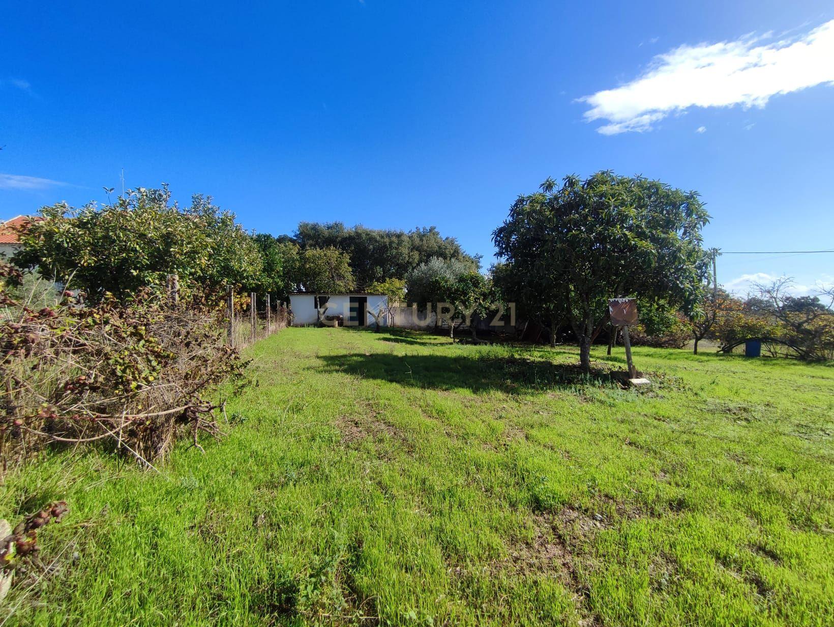 Terreno Urbano, Tinalhas, Castelo Branco - Image 10