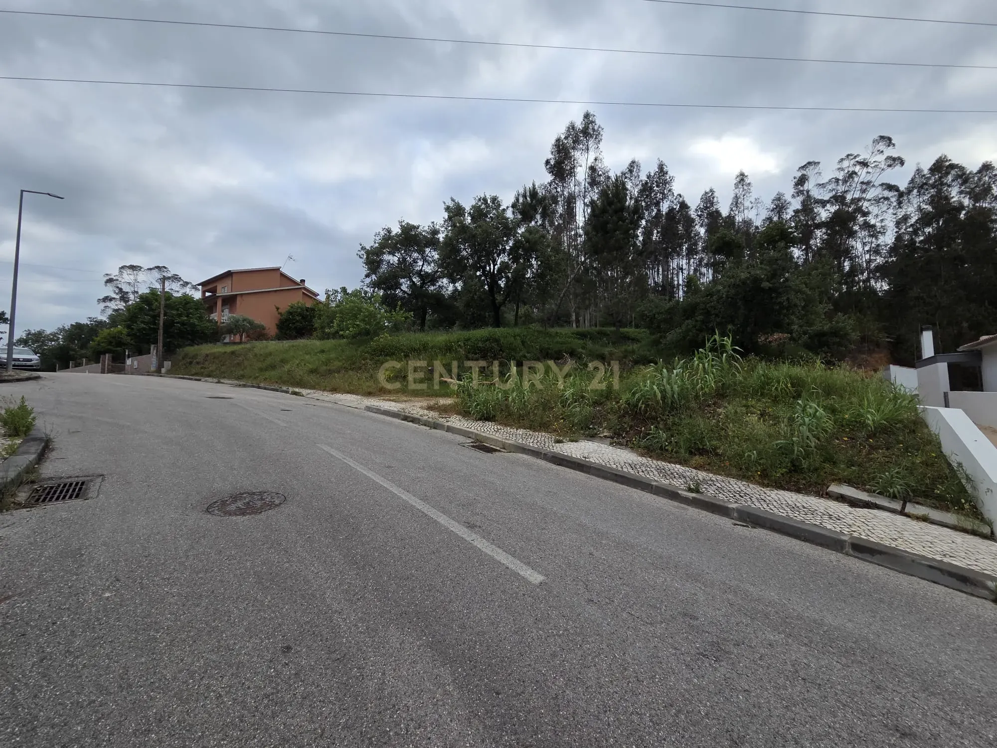 Fotografia 5 de Terreno com vista sobre Pombal