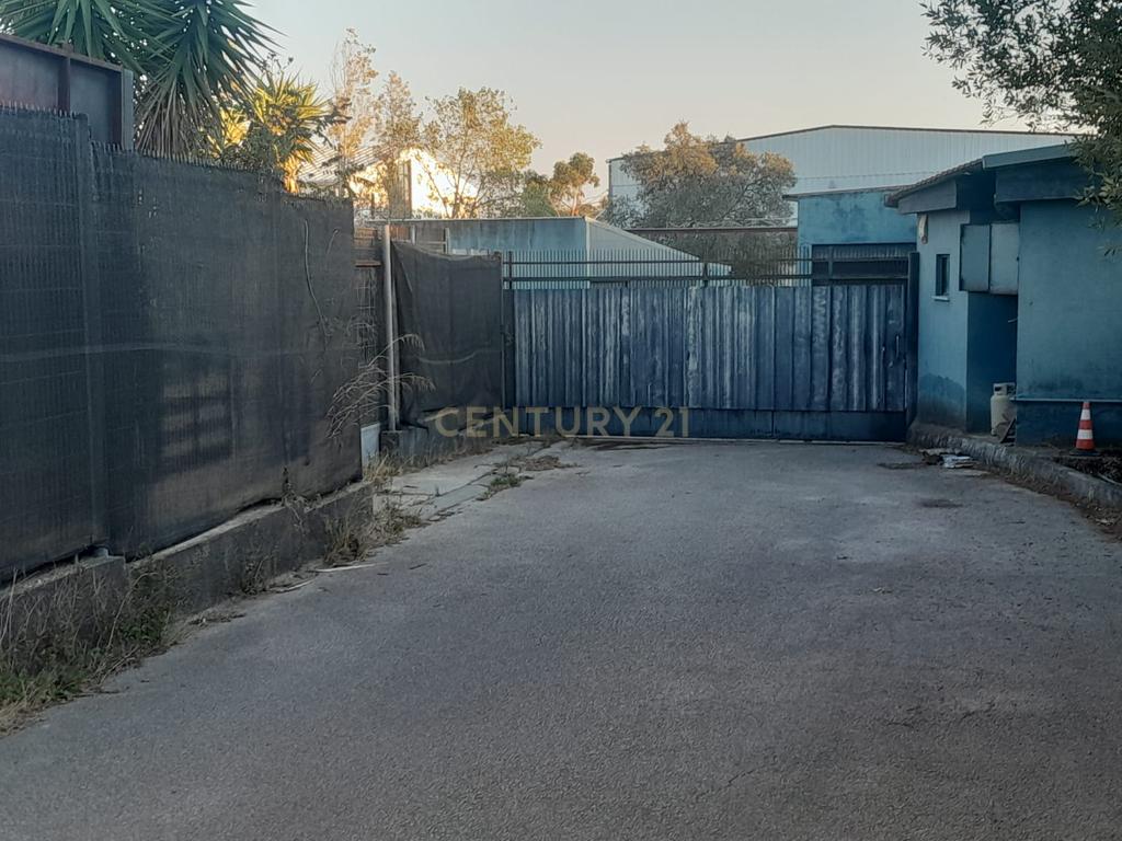 Armazéns – Parque Industrial da Adroana | Excelente Localização e Potencial Multifunções - Image 13
