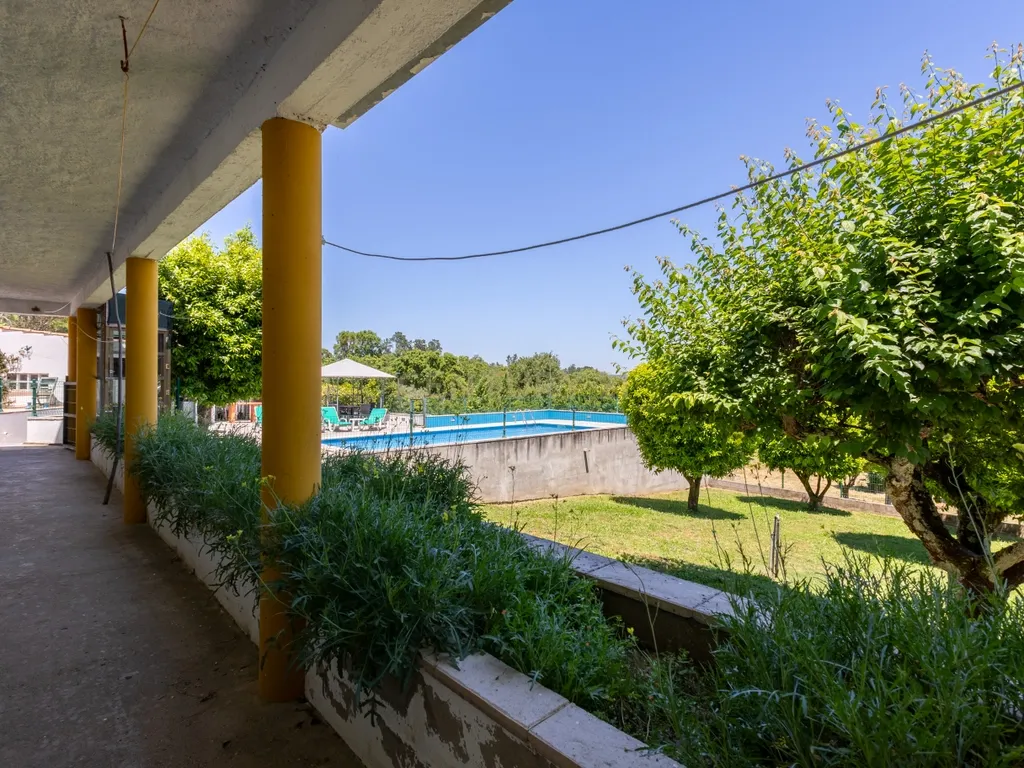 Quinta de 1ha vedada com piscina, jacuzzi, pomar e vista panorâmica em Olalhas, Tomar - Image 21