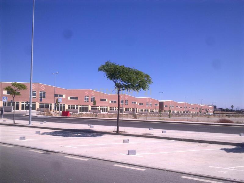 Terreno - Image 10