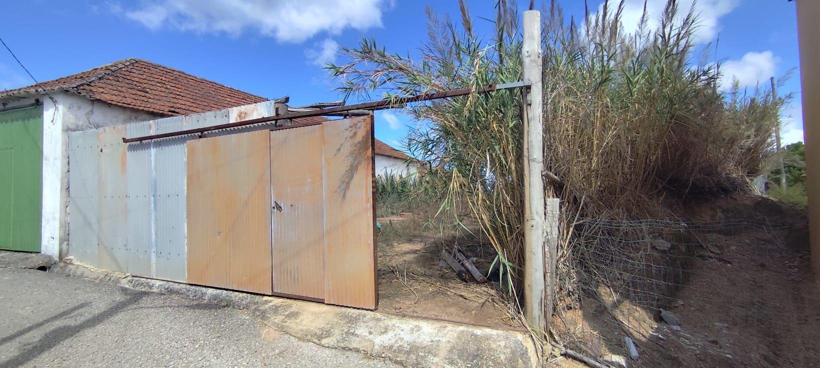 Fotografia 8 de TERRENO PARA CONSTRUÇÃO COM 1.000 M² | CABEÇA GORDA | ENTRE TORRES VEDRAS E A LOURINHÃ