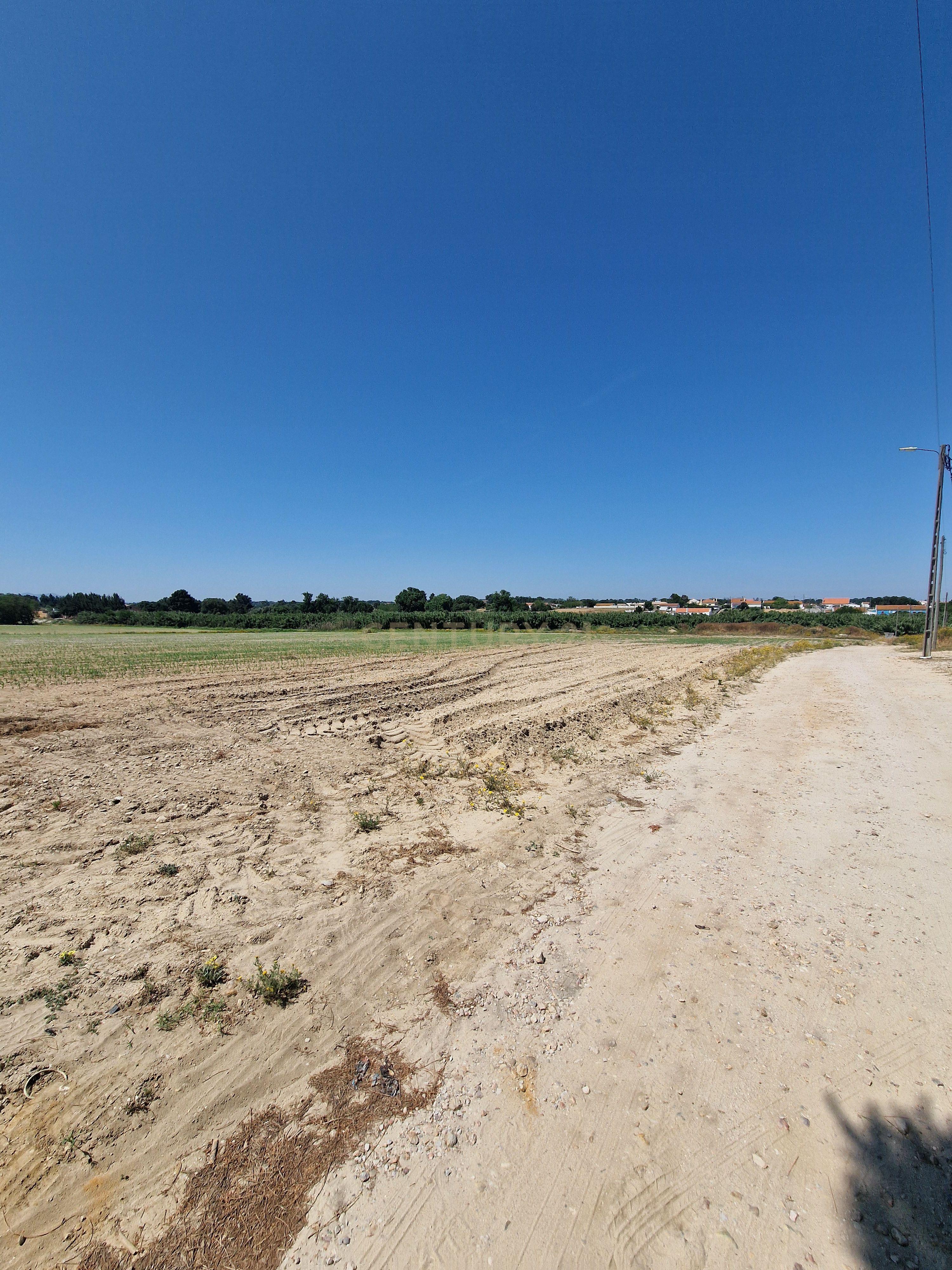 Fotografia 6 de Terreno Rústico com 24.850 m² em Pinhal Novo, Palmela