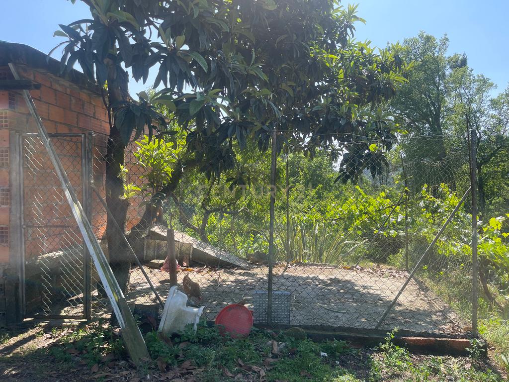 Terreno de 7.500 m² situado próximo ao lago, contendo uma casa a ser restaurada e um aviário automatizado altamente rentável. - Image 40