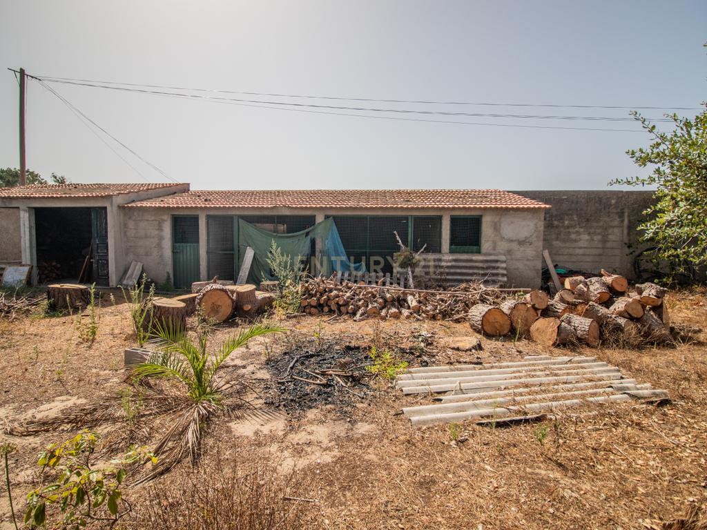 Moradia térrea T3+T0 com piscina, garagem e terreno com 2.257 m², no Ervedal, em Quiaios - Image 60