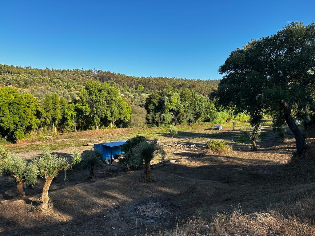Quinta c/2,5 hectares , casa pré fabricada e ruína para reconstrução. - Image 15