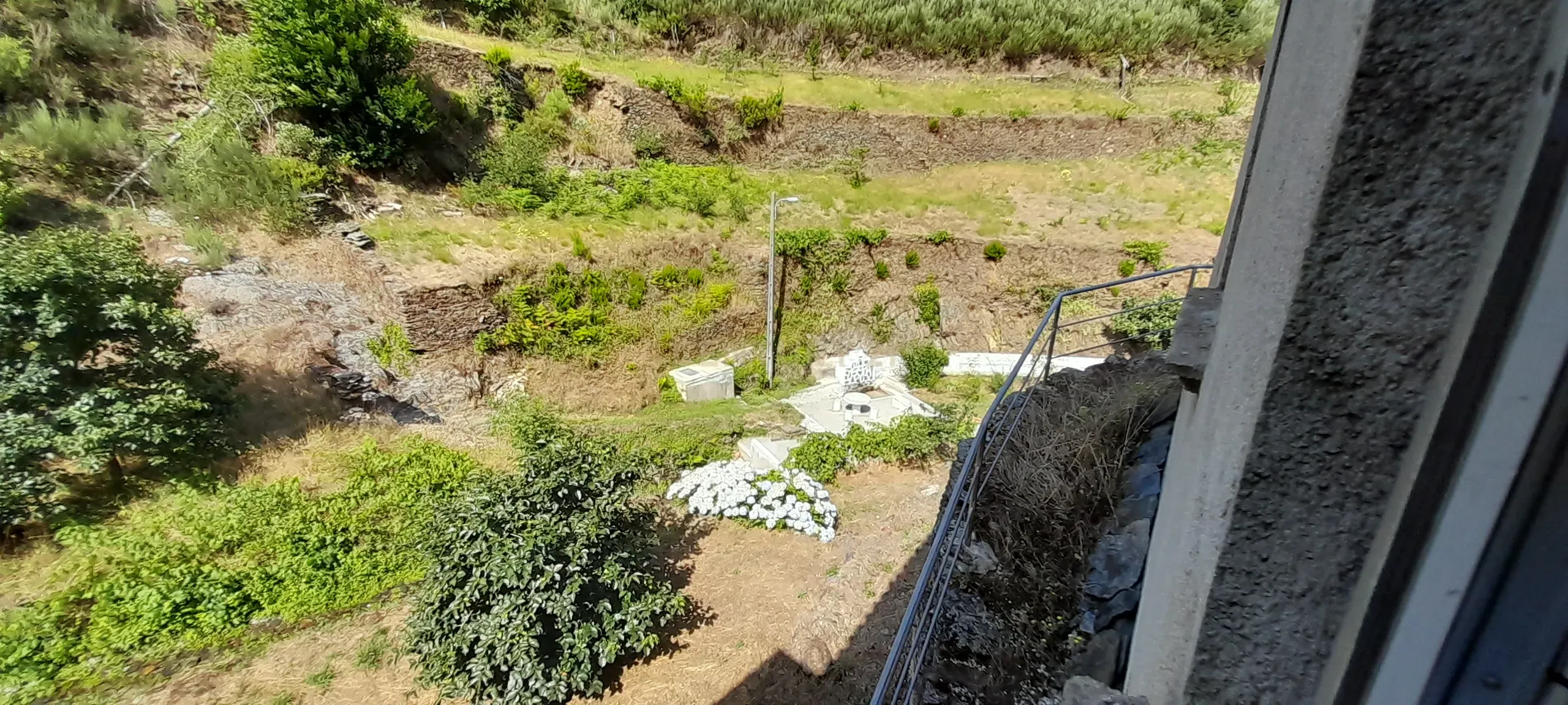 INVESTIMENTO | CEIROQUINHO | SERRA DO AÇOR - Image 15