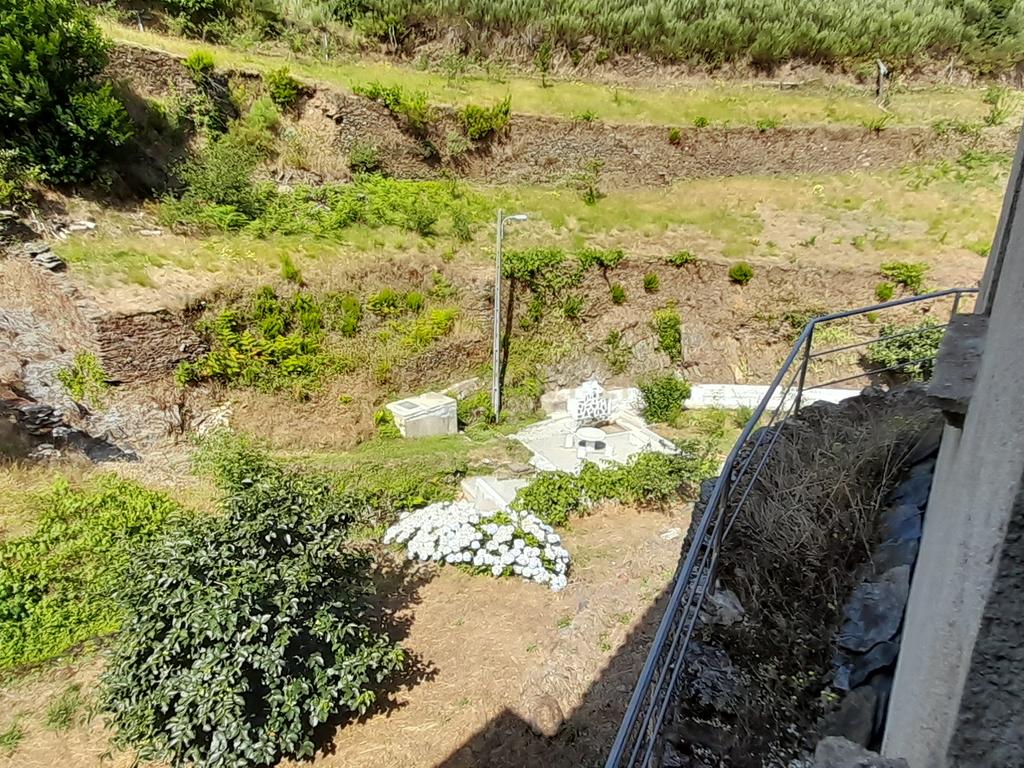 INVESTIMENTO | CEIROQUINHO | SERRA DO AÇOR - Image 15