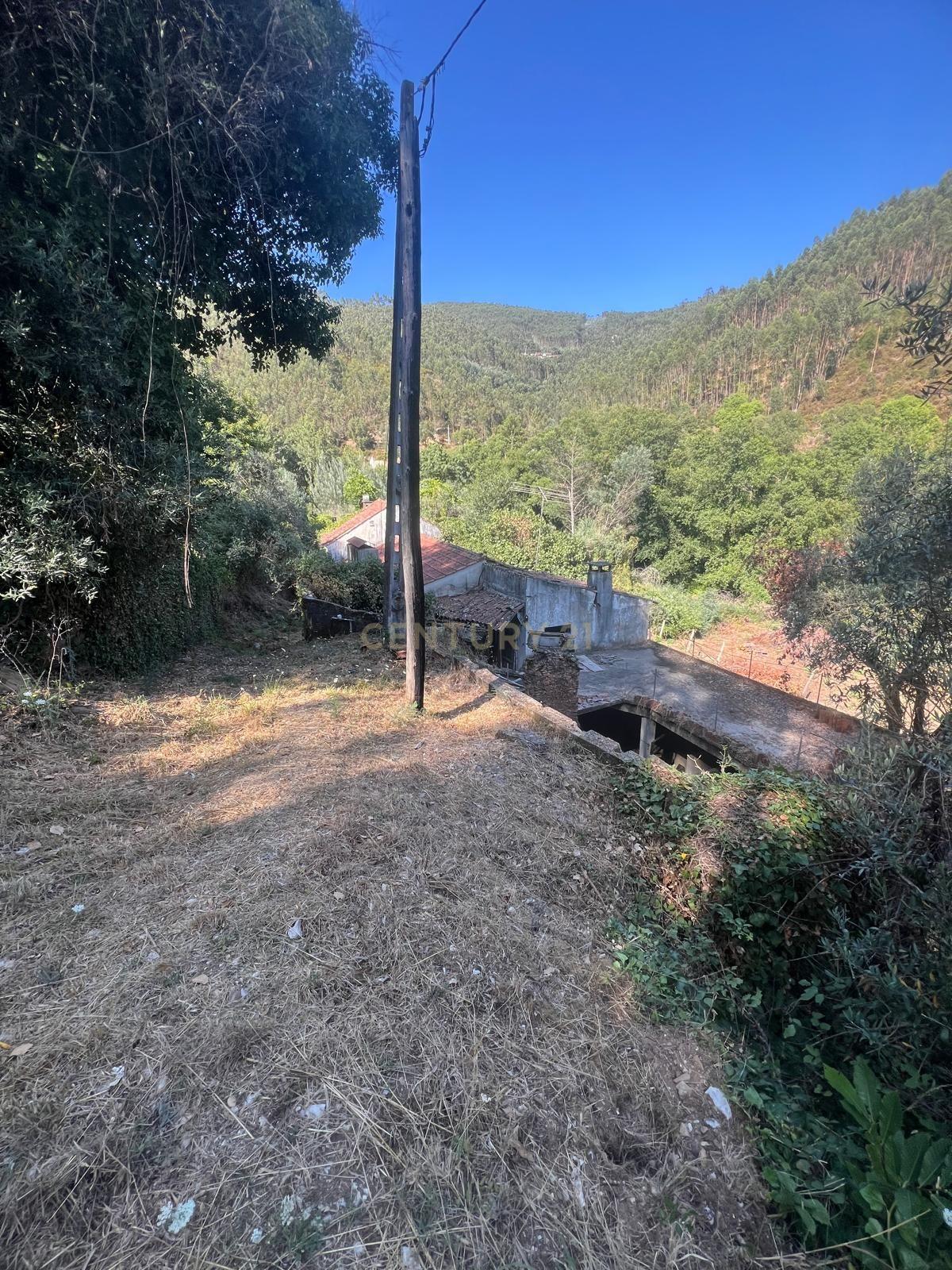Fotografia 12 de Moradia com terreno até à ribeira, Maçãs De Dona Maria