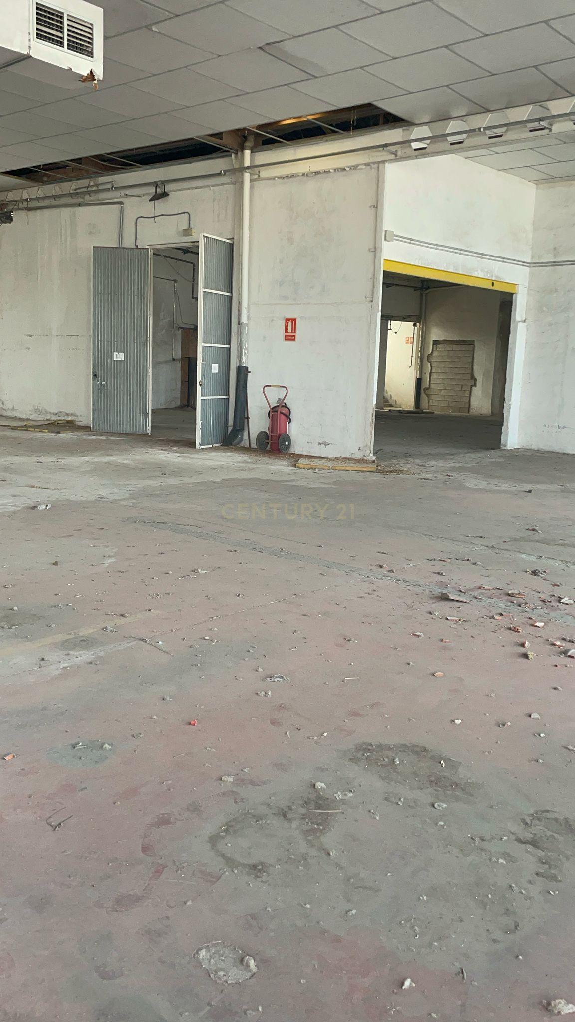  - Image 6