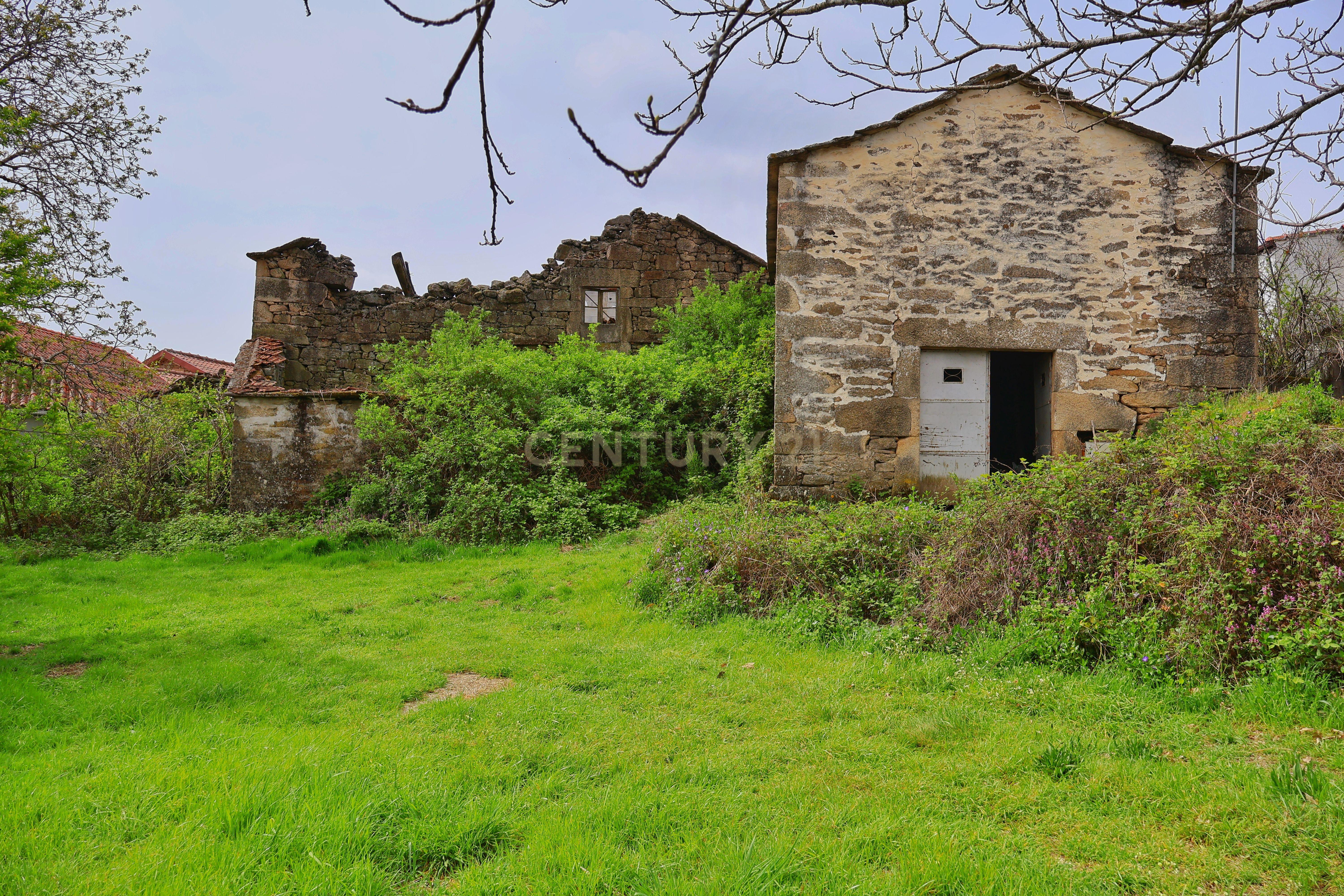 Fotografia 11 de Projeto Turístico Rural Aprovado - Licença a pagamento -  Almofala, Castro Daire, Viseu - 0651-06119
