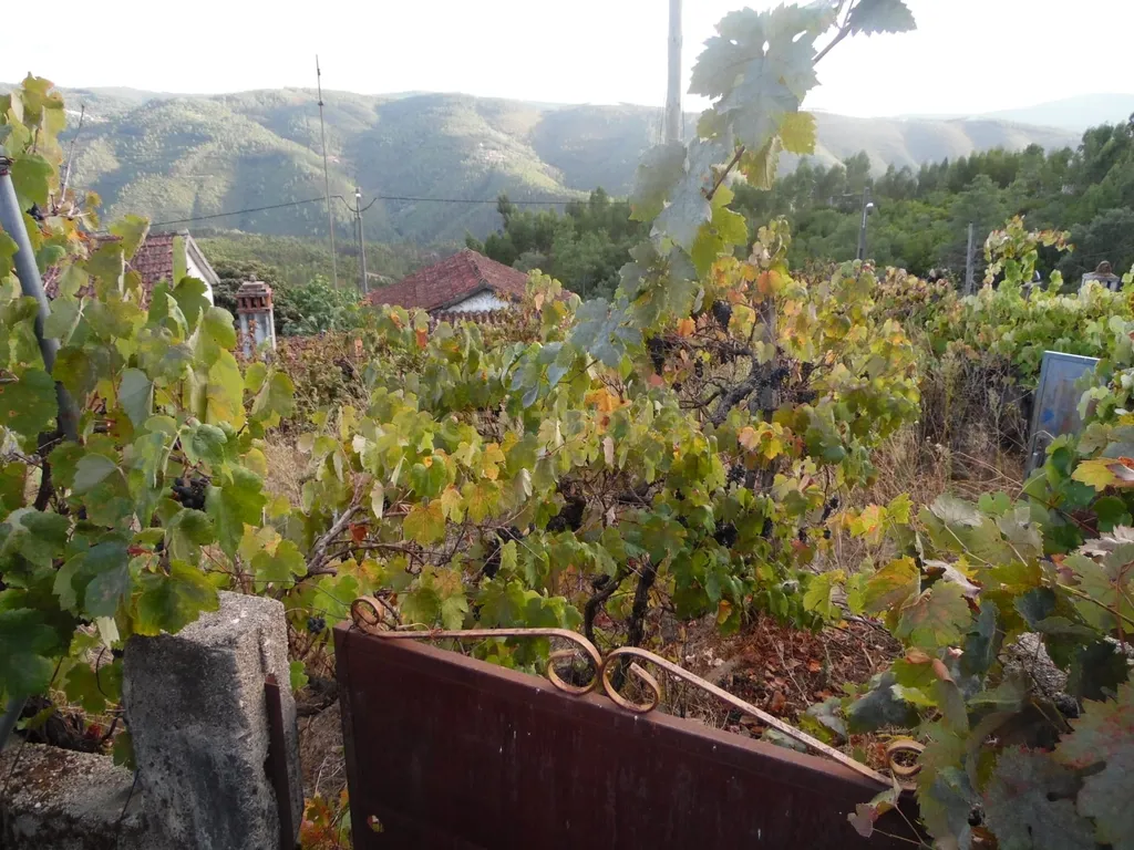 Refúgio de charme na natureza – Moradia T2 com terreno em Pampilhosa da Serra - Image 11