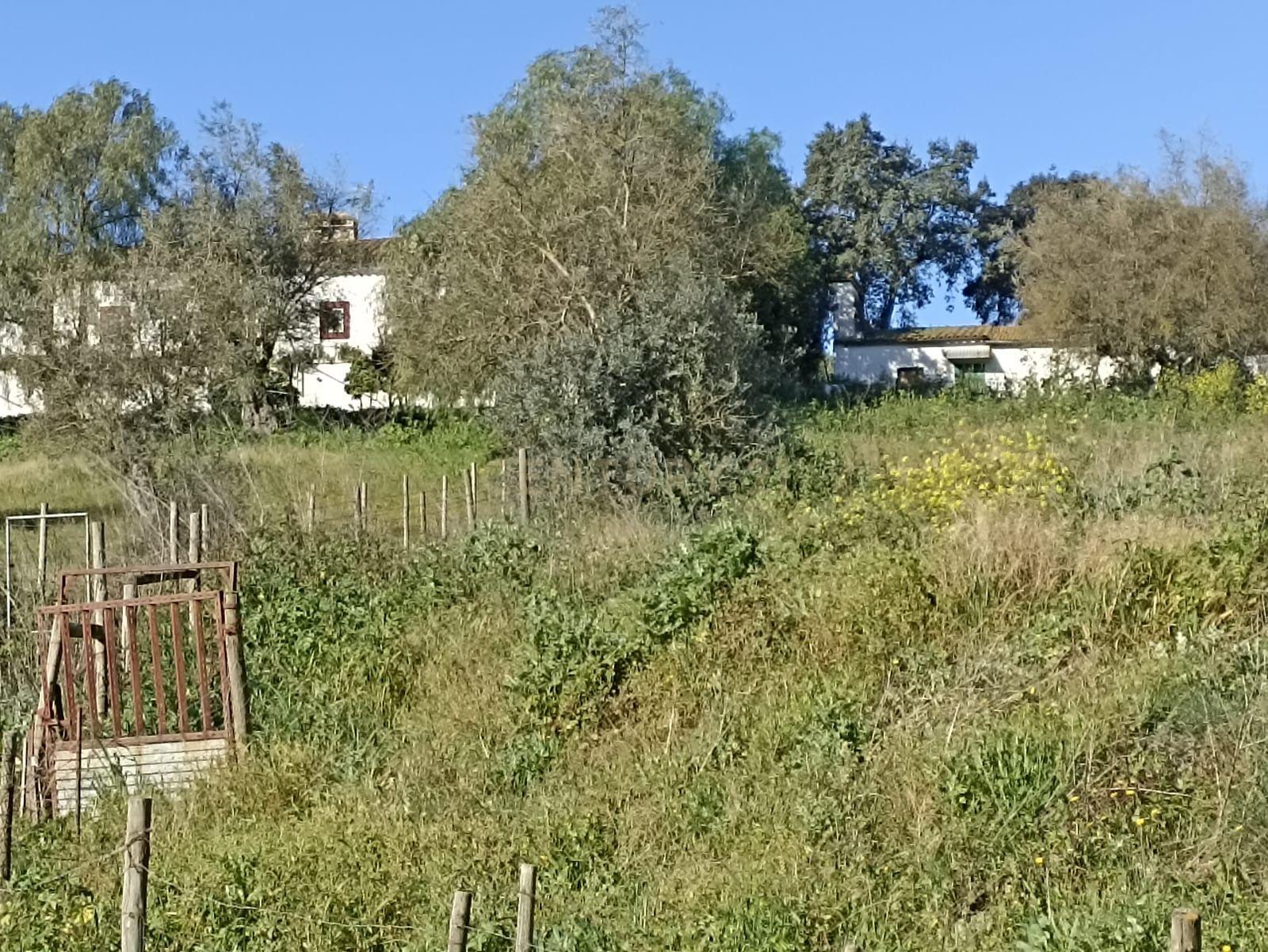 # Terreno Rustico em pleno centro de Montemor -o -Novo - Image 5