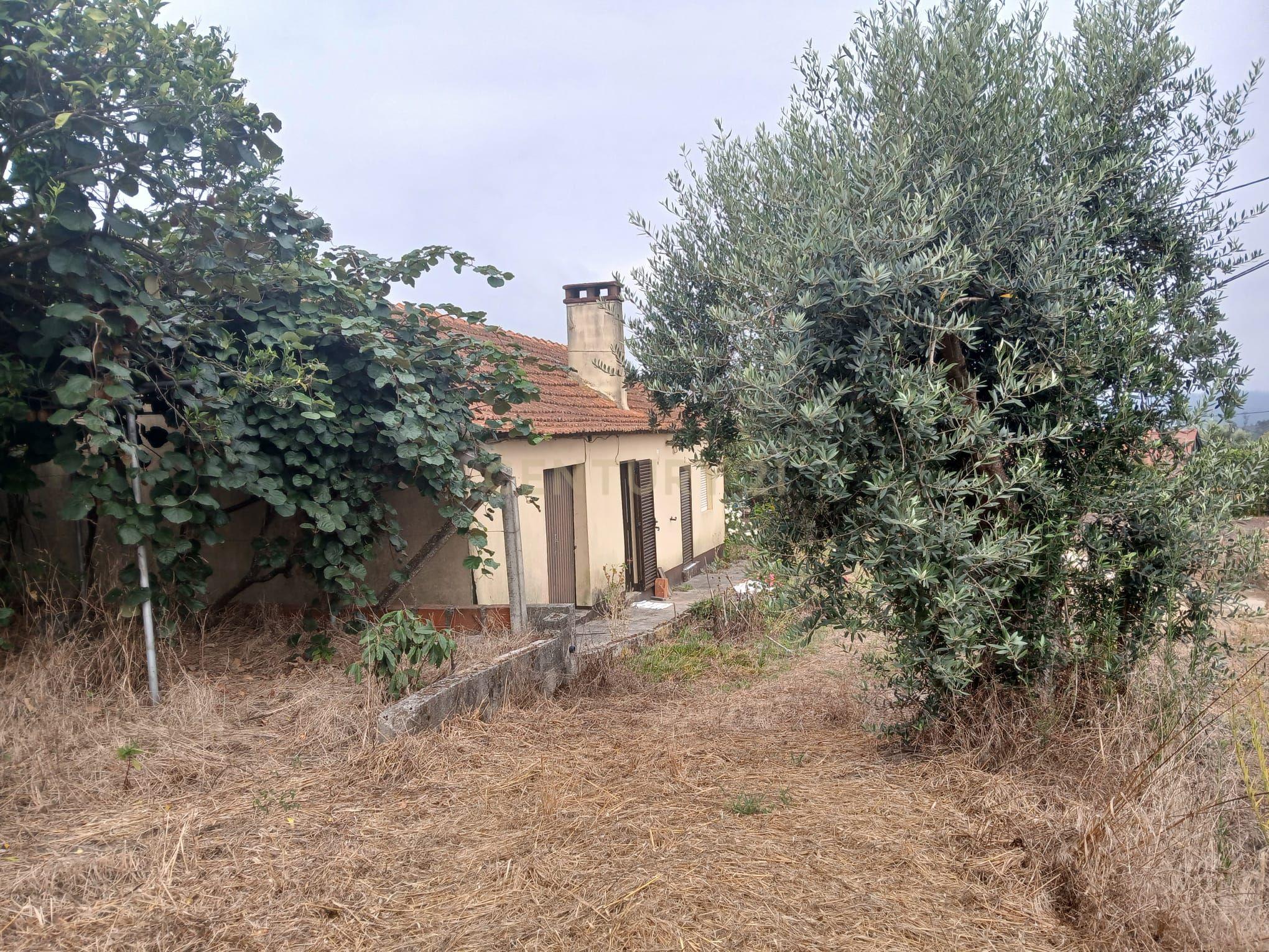 Moradia T2 à venda em Almagreira, Pombal — foto 6