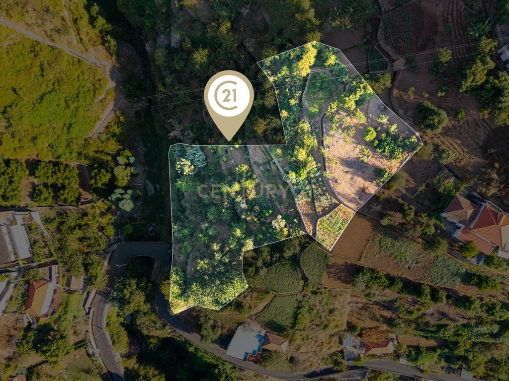 Terreno Rústico com Potencial para Construção – Jardim da Serra, Câmara de Lobos - Image 2