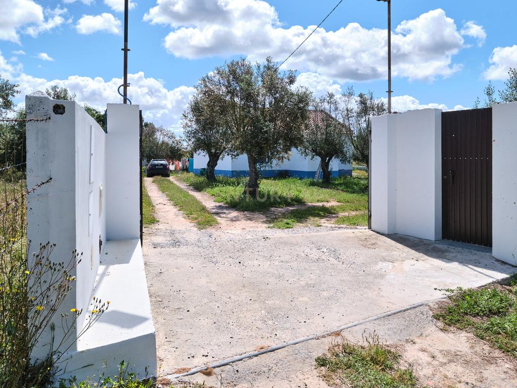 Viva o autêntico Alentejo – Seu refúgio em Ermidas do Sado - Cova do Gato espera por si - Image 10