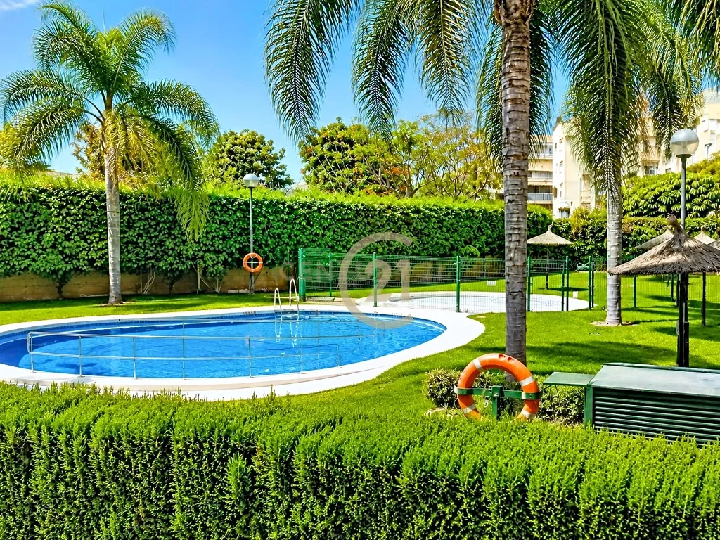 Cobertura de 5 Quartos com Terraço e Churrasqueira: Ideal para Família Numerosa ou Segregação em 2 Habitações! - Image 45
