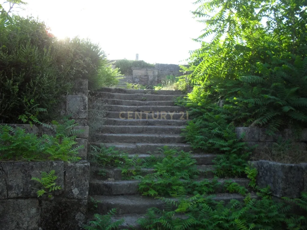 Quinta do Ervedal – 15,7 hectares de História e Beleza Natural em Castelo Novo - Image 52