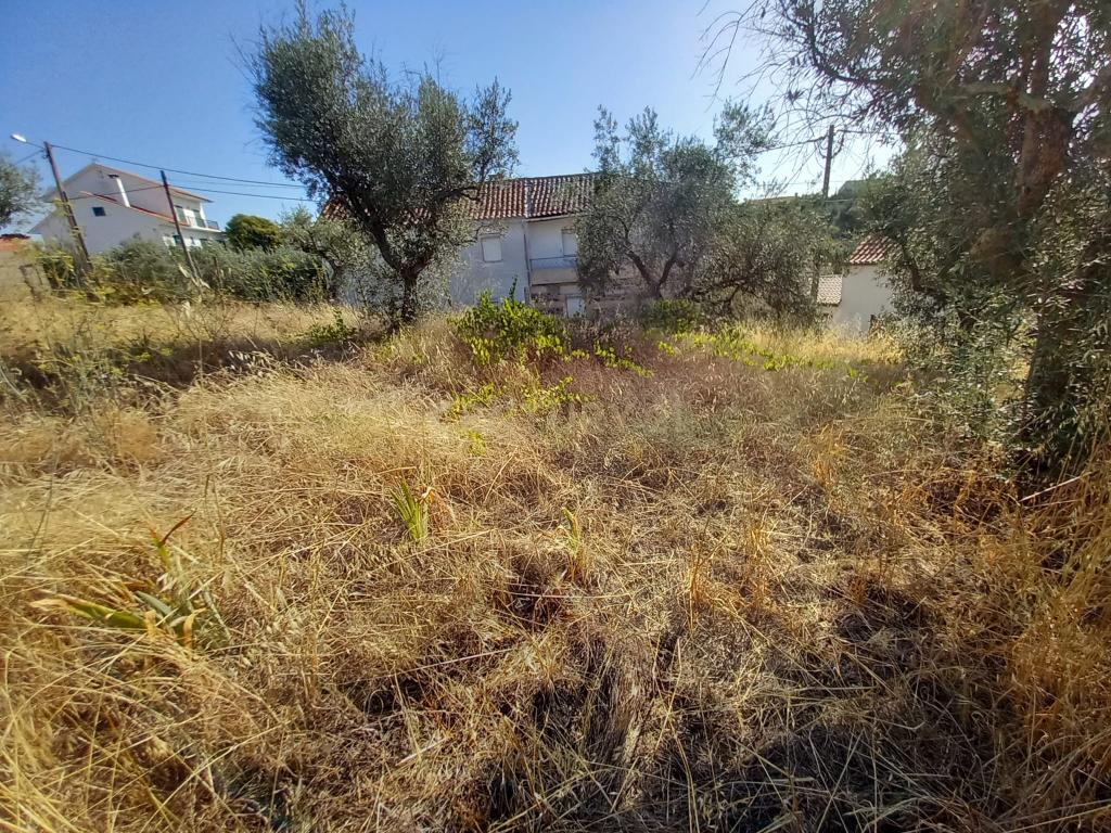 Terreno com 1100m2, Sobral do Campo - Image 3