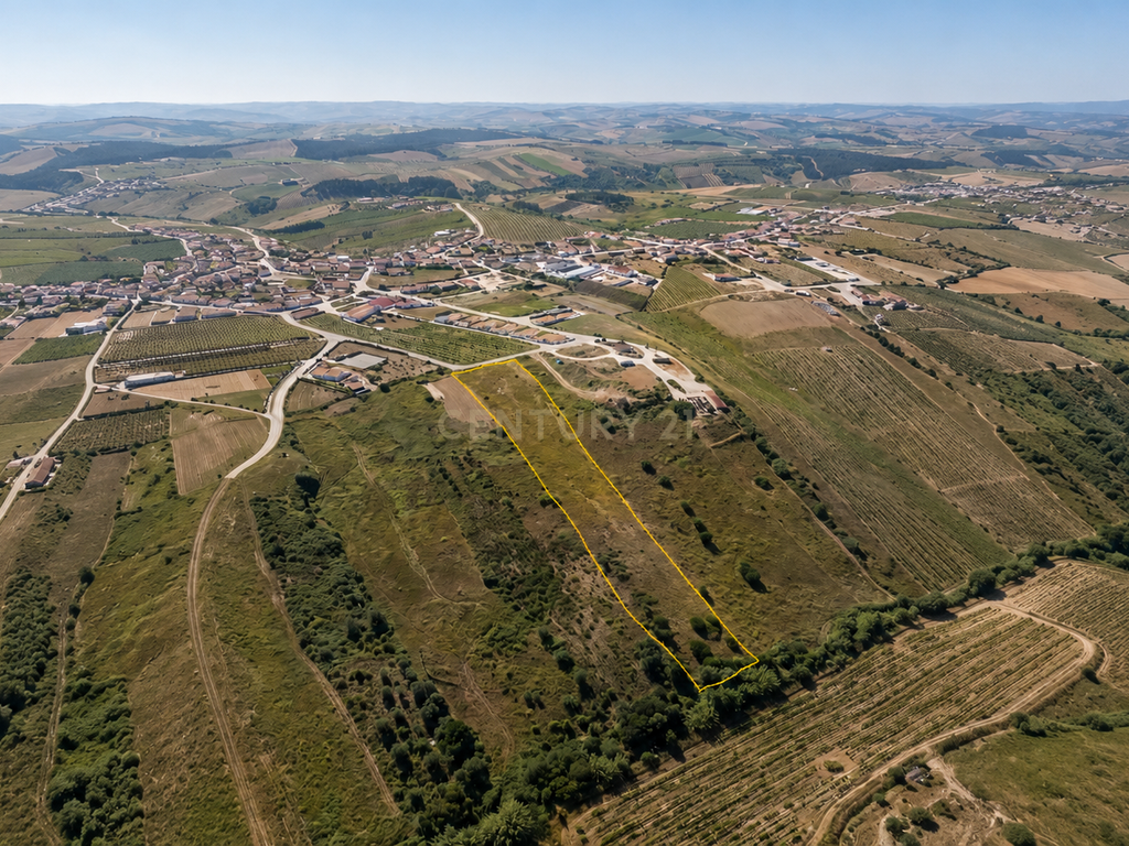 Terreno com PIP aprovado | 3.680 m² | Vista Serra de Montejunto - Image 8