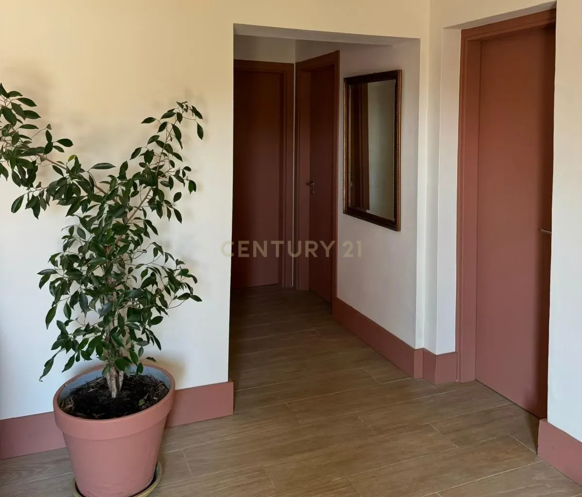 Fotografia 8 de Quinta renovada em terreno de 3 HA perto de praias e serviços, Almádena, Lagos