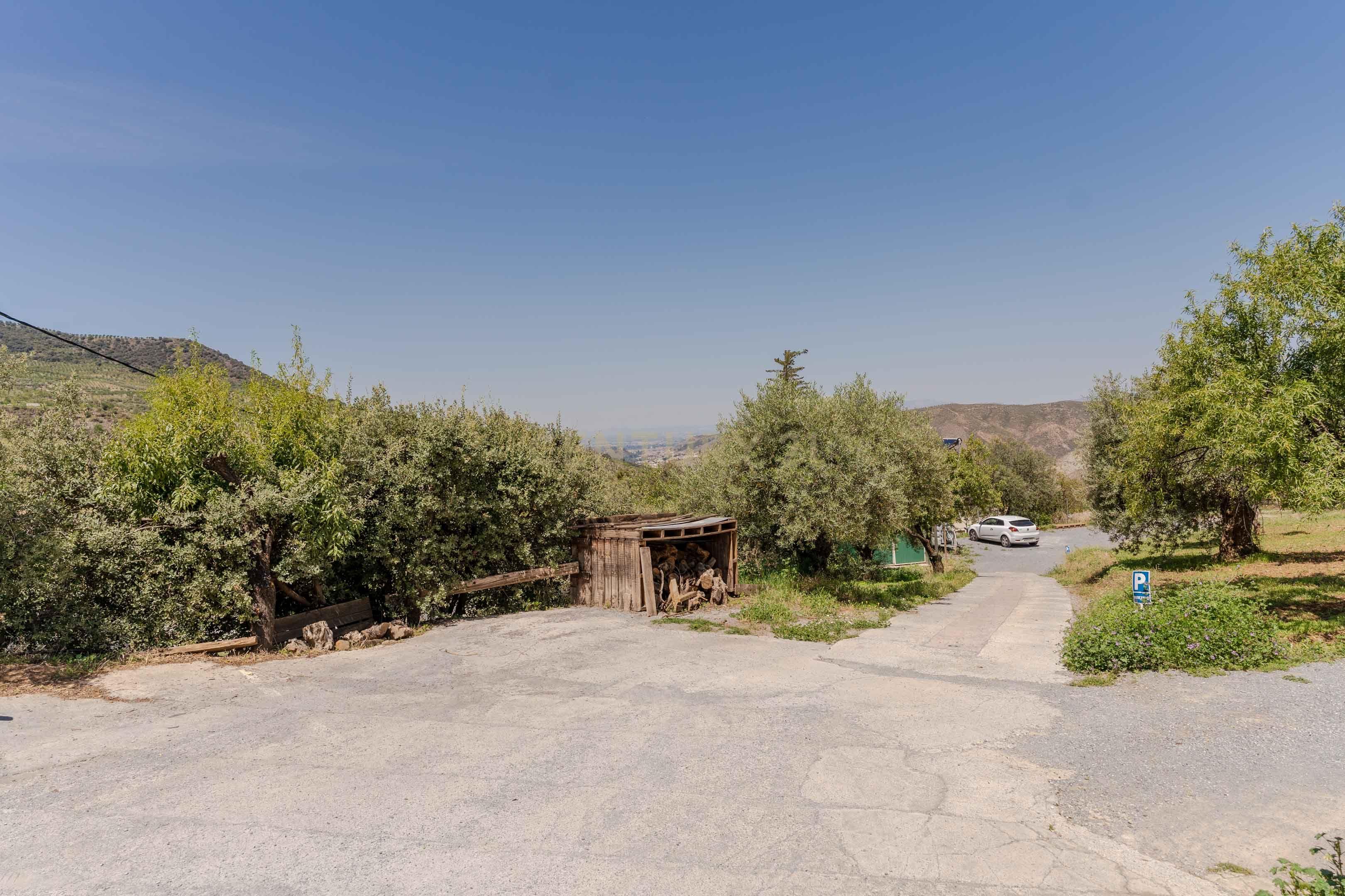 undefined - Image 79
