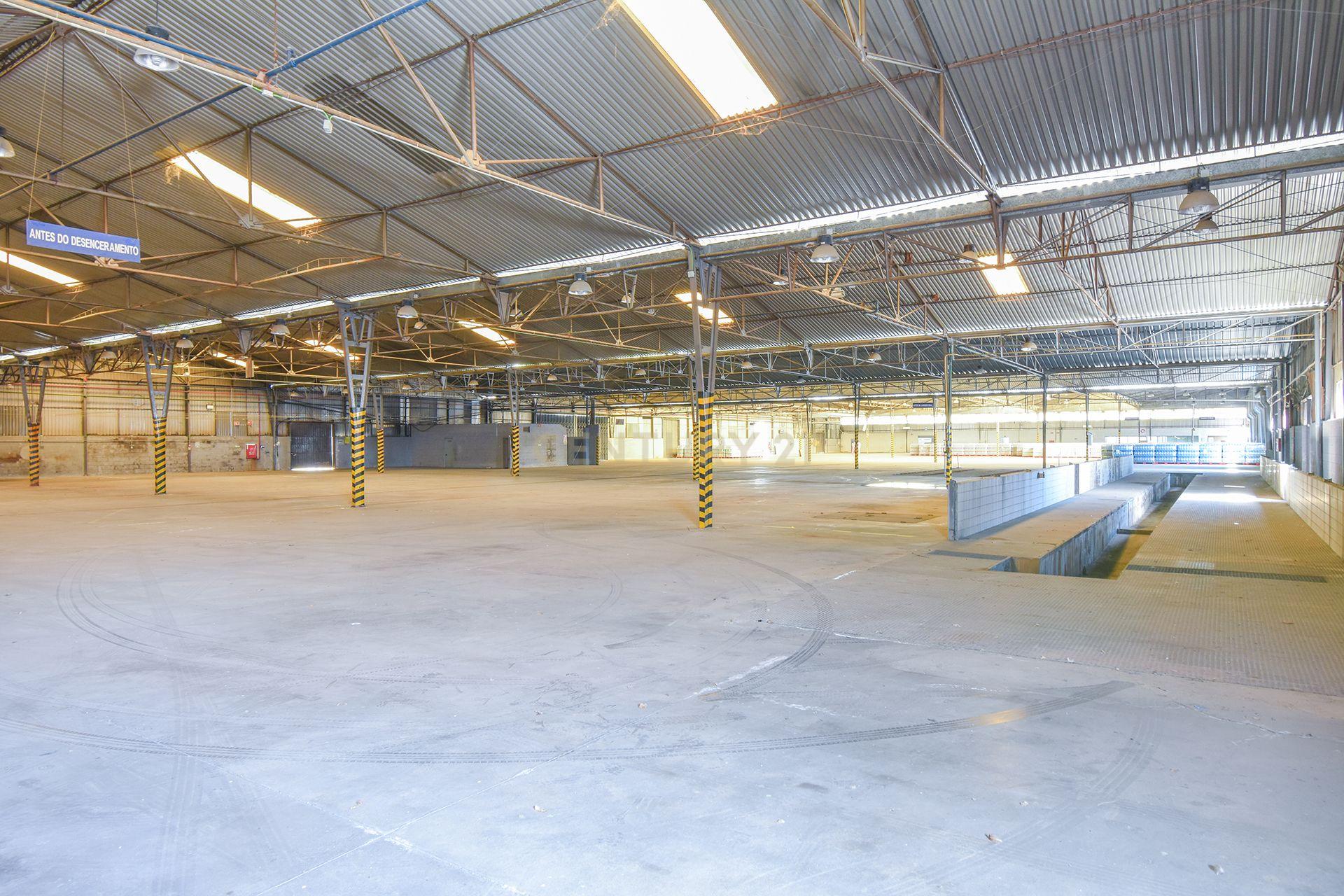 Armazém 10.000m2 Setúbal - Image 5