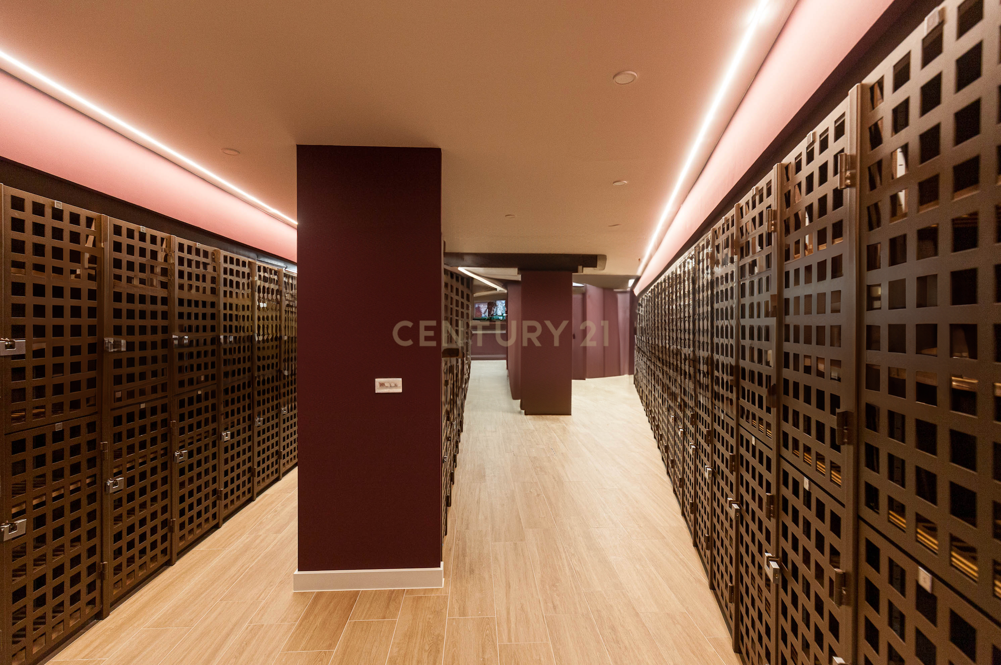 - Image 12