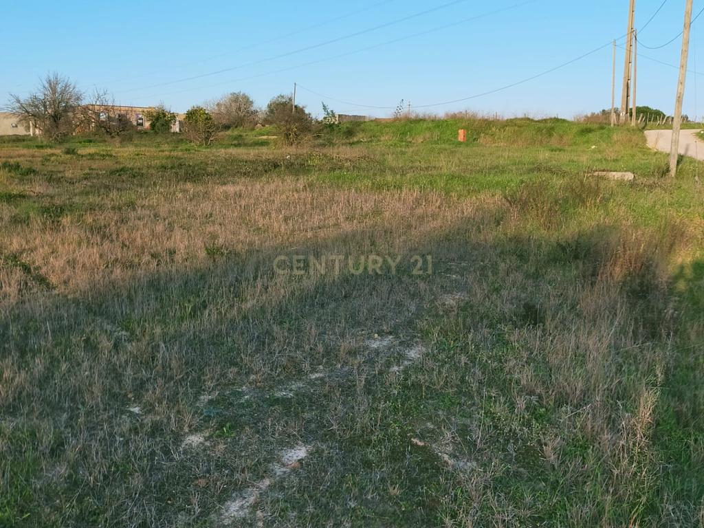 Terreno à Venda em Lamas – Cadaval - Image 5